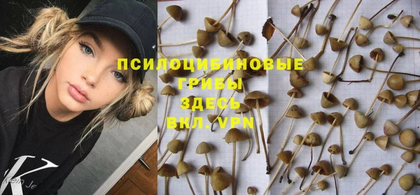 герыч Арсеньев